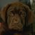 Sarita Gellman's profile image