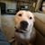 Robbin Pedersen Stedman's profile image