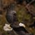 Marianne Guskos's profile image