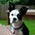Dawn Dowd's profile image