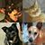 Wanda Yee Karol's profile image