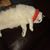 Shelly Jennings McCurdy's profile image