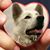 Michaelle Vansen's profile image