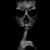 Raymond Seeger Jr's profile image