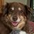 Kate Wolfram's profile image