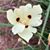 Susan Beaver's profile image