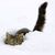 Pattie McNeil's profile image