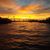 Maria Gonzalez's profile image
