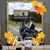Neva Law Williams-Lloyd's profile image