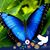 Debbie Parr Bersch's profile image