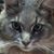 Jody Kudela Lovejoy's profile image