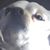 Edison Phimmasone's profile image