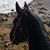 Heather Lomax's profile image