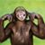 Marlene Reynolds's profile image