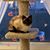 Jeanie Wood's profile image