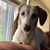 Becca Yeske's profile image