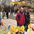 Michelle Marienthal Swanson's profile image