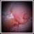 Rachit Purohit's profile image