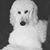 Nancy Lynch's profile image