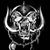 Matt Sukach's profile image