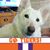 Kaye Mack's profile image