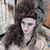 Jessica Mackenzie's profile image