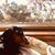 Janelle Wright-Mason's profile image