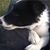 Mallorie Rast's profile image