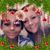 Dena Peters Allingham's profile image