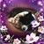 June DeerSpirit Sims's profile image