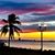 Mark Allen Schmitt's profile image