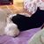 Christine Petroski's profile image