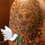 Chuck Lohr's profile image