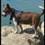 Terrie Lynn's profile image