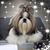Cara Helfrich's profile image