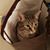 Kathleen M. Daily's profile image