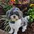 Debbie Worthy's profile image