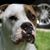 Wendy Kay Roberts's profile image