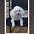 Brenda Gentry's profile image