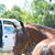 Tricia Hoen's profile image