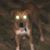 Jonathan Parsons's profile image