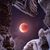Cheryl Koonce's profile image
