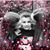 Mandi Wood's profile image
