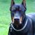 Nahka Hilliard's profile image