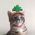Sarah Linden's profile image