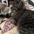 Michelle Lane's profile image