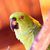 Van Orden Peter's profile image