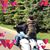 Michelle Heidger's profile image