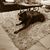 Crystal Schillo's profile image