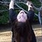 Melissa T.'s profile image